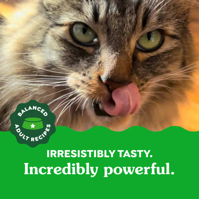 FELINE GREENIES Adult Dental Cat Treats, Savory Salmon Flavor, 9.75 oz. Tub - Image 4
