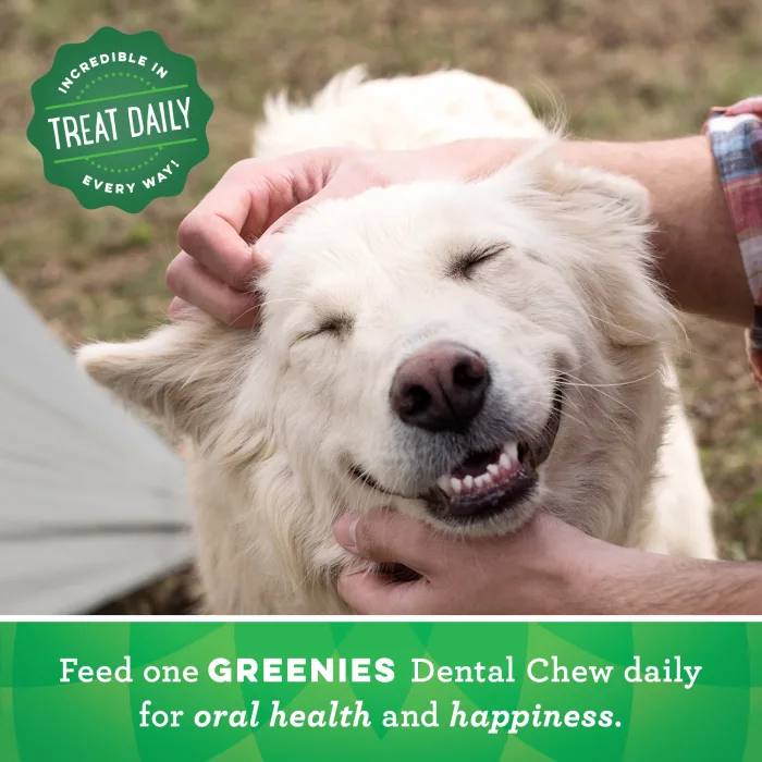 GREENIES Gingerbread Regular Dental Treats, 12 oz. - Image 8