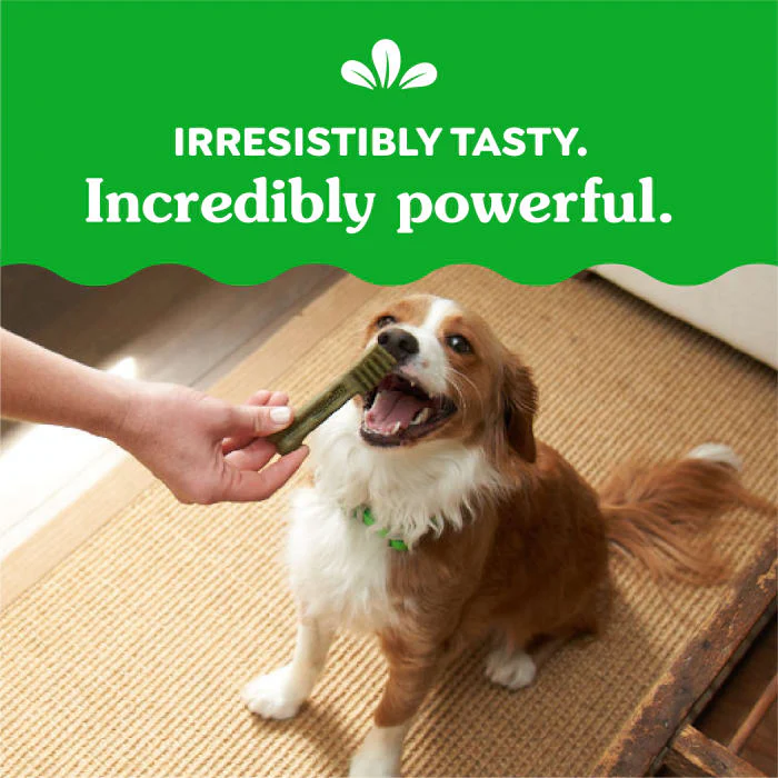 GREENIES Petite Natural Dog Dental Treats, Sweet Potato Flavor, 12 oz. Pack (20 Treats) - Image 7