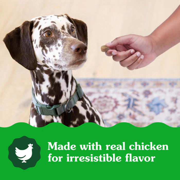 Greenies Supplements Digestive Health with Probiotics for Dogs Chicken Flavor, 7.8 oz. Pouch of 40 ct. Chews - Image 5